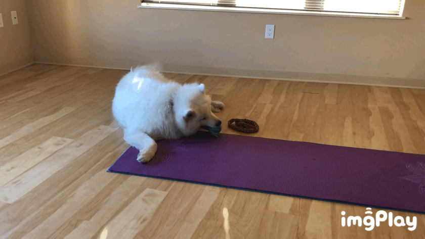 7d0089557fd2848e202dc43.gif