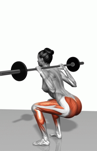 f29bcbba7c52b34eeea0c8a.gif