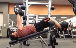 IMG_5716.gif