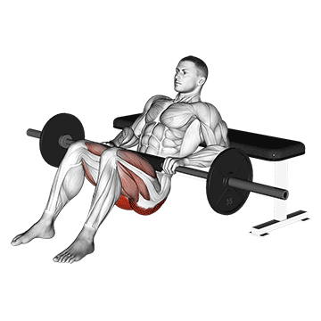 10601301-Barbell-Hip-Thrust_Hips_360.gif