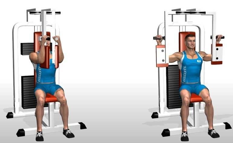 chest-fly-gym-machine-1-1