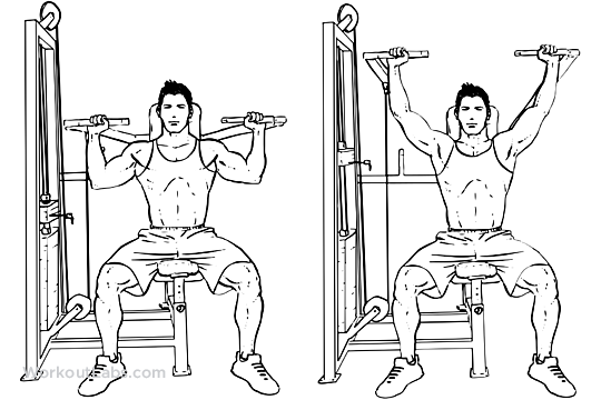 Machine_Seated_Shoulder_Press_M_WorkoutLabs