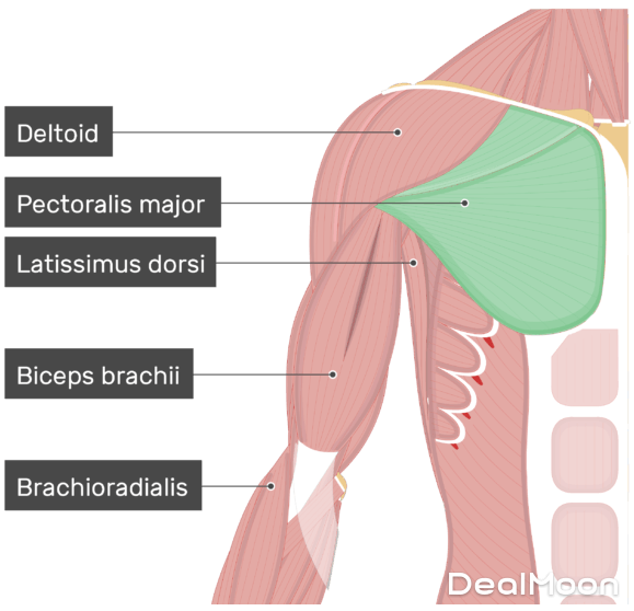 微信截图_20200520170124
