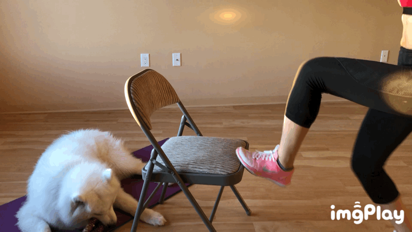 32609cfc82ab5d131711f69.gif